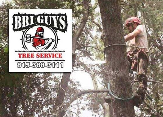 tree service